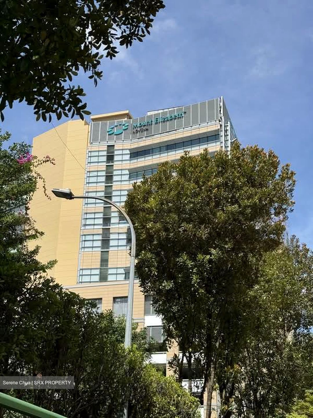 Mount Elizabeth Novena Hospital (D12), Retail #527963821